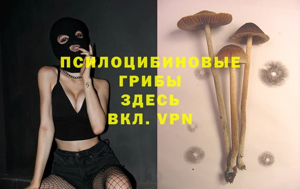 кокаин Новодвинск
