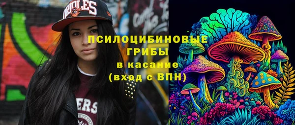 спиды Нея