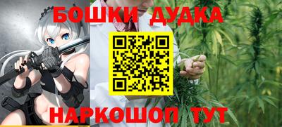 кокс Гатчина