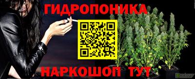 прущий лед Гай