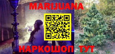 кокс Гатчина