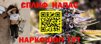 кокс Гатчина