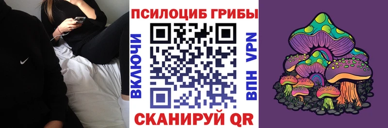 где купить Партизанск МЕГА сайт Галлюциногенные грибы GOLDEN TEACHER