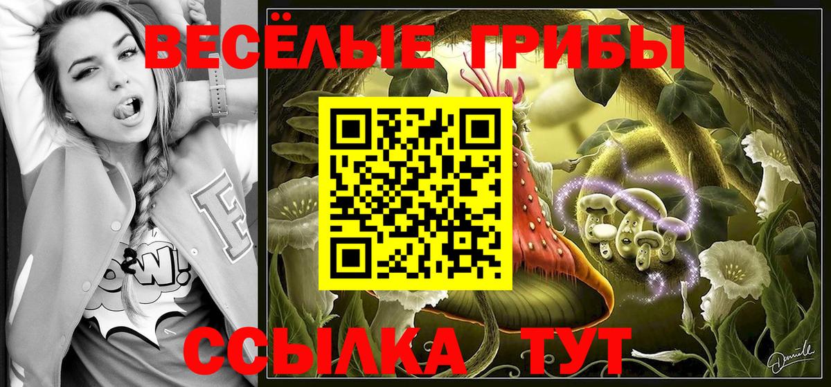 Партизанск  Псилоцибиновые грибы GOLDEN TEACHER  Вход с VPN  наркошоп  Галлюциногенные грибы Magic Shrooms 