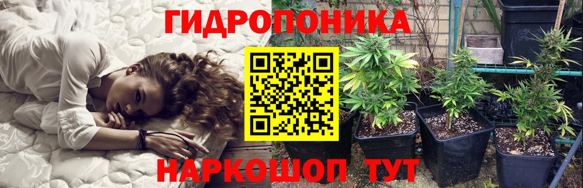 МАРИХУАНА конопля Партизанск